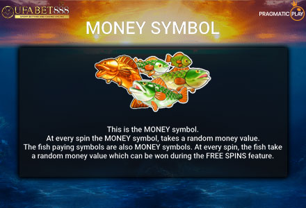 ฟีเจอร์ Money Symbol