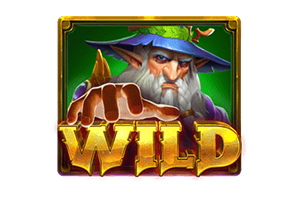 สัญลักษณ์ Wild Magicians Secrets