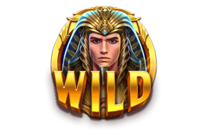 สัญลักษณ์ Wild Might of Ra