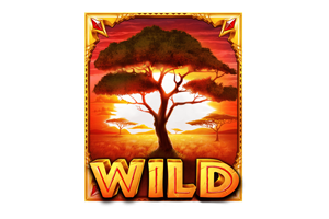 สัญลักษณ์ Wild The Ultimate 5